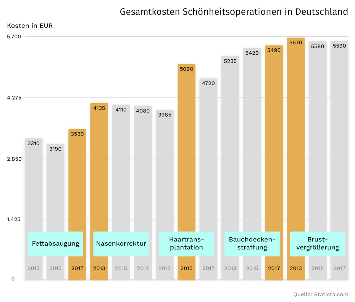 Gesamtkosten Schönheitsoperationen Deutschland bis 2018